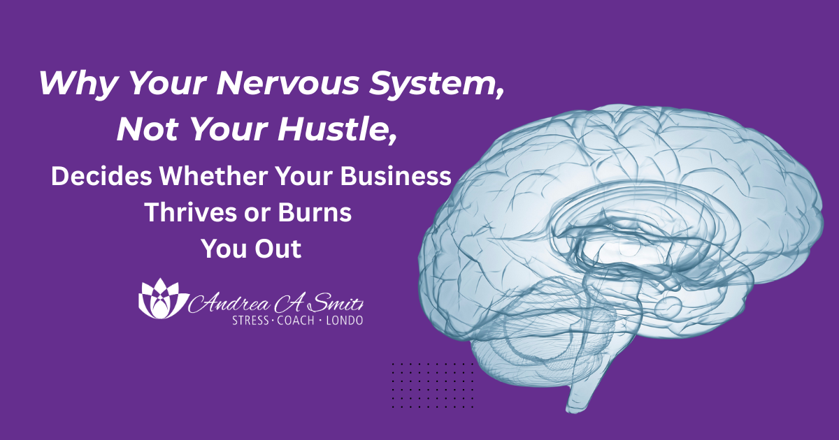 nervous system